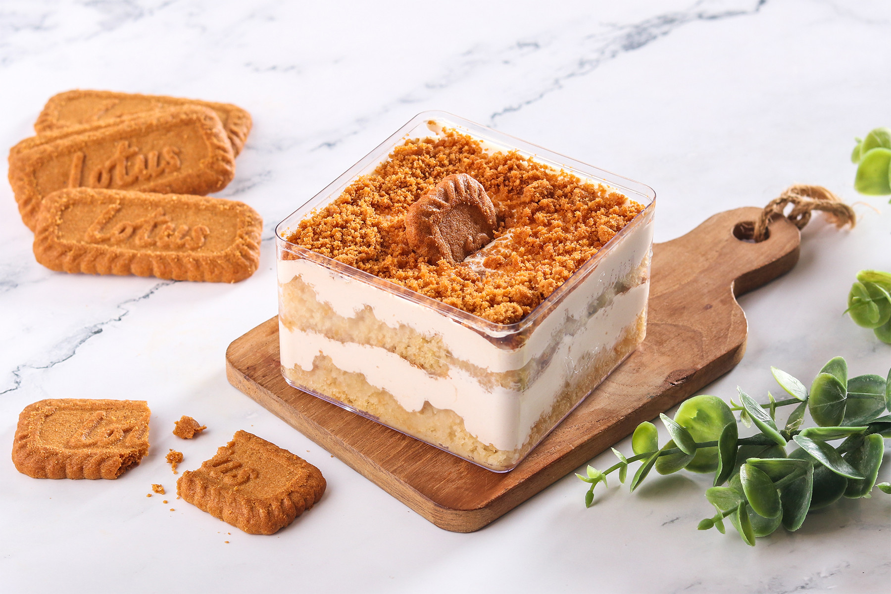 Healthy Lotus Biscoff Cheesecake Tub [300 g]